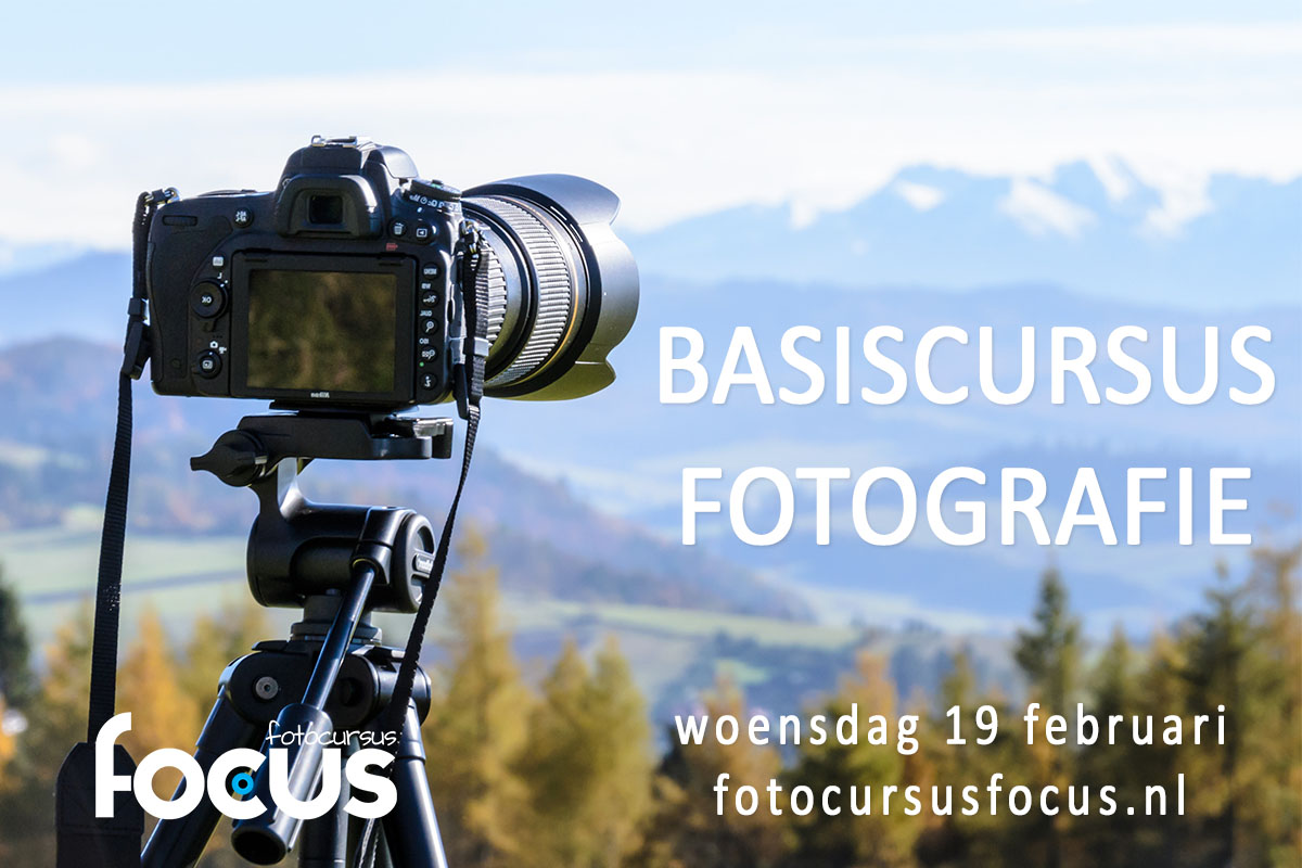cursus fotografie op woensdagavond